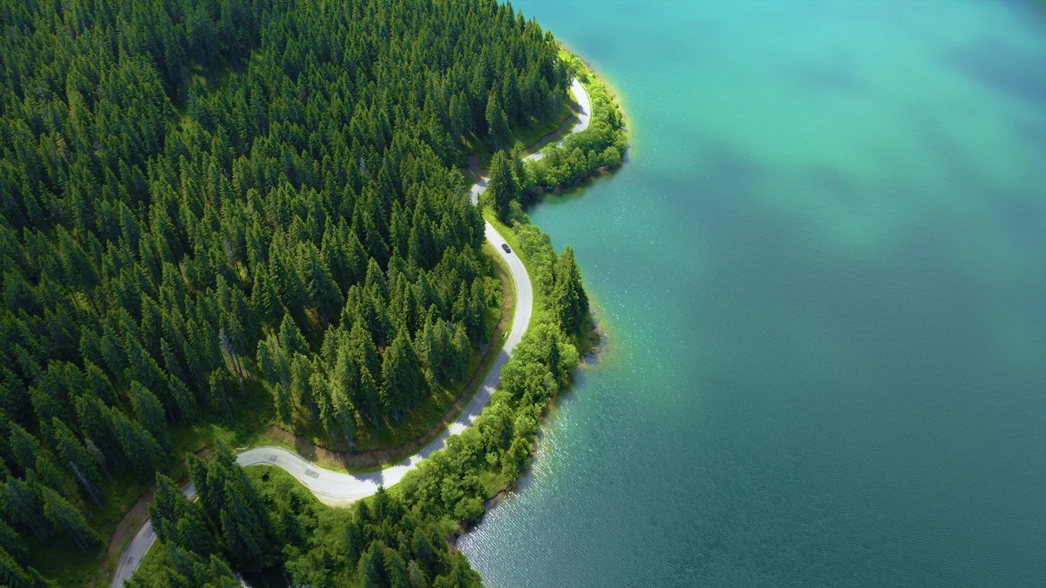 Aerial view of forest meeting clean water